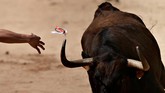 FOTO: Menantang Maut dengan Kabur dari Banteng San Fermin Festival selalu jadi incaran ribuan orang untuk datang ke Spanyol dengan tujuan yang sama: menantang maut, mengejar adrenalin, kabur dari banteng.