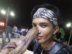 Pilu Rizky Tewas Dipatuk King Cobra Peliharaannya, Sempat Dikira Mati Suri