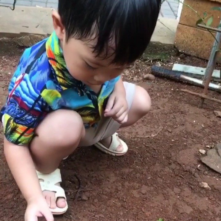 <p>Melihat semut aja bisa jadi kegiatan yang mengasyikkan lho buat Mao. (Foto: Instagram/ @maomettano)</p>