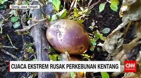 Dampak Cuaca Ekstrem