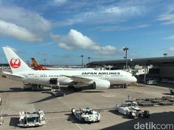 Buntut Kasus 2 Pilot JAL Mabuk: Mereka Dipecat & Diskors dari Penerbangan