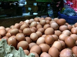 Harga Telur Ayam Ikutan Naik, Sekarang Rp 28.000/Kg