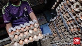Bulog Akui Sulit Kendalikan Harga Telur