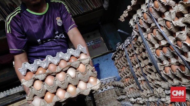Sebuah video yang menunjukkan peternak membanting rak telur karena kesal harga terlalu murah di tengah kenaikan harga pakan ternak ayam.