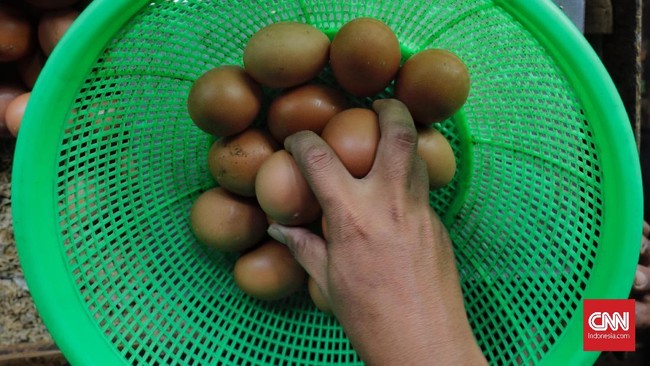 Peternak menyebut salah satu pemicu anjlok harga telur hingga menyentuh Rp15 ribu per kg belakangan ini adalah keberadaan asing di bisnis itu.