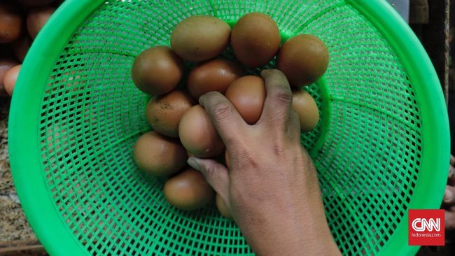 Peternak Buka-bukaan soal Pemicu Anjlok Harga Telur Peternak menyebut salah satu pemicu anjlok harga telur hingga menyentuh Rp15 ribu per kg belakangan ini adalah keberadaan asing di bisnis itu.