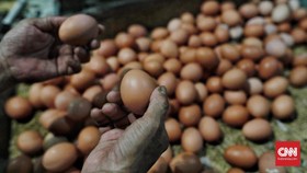 Harga Telur Naik, BI Ramal Inflasi 0,04 Persen pada Juli