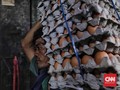 Peternak Blitar Aksi Bagi-bagi 1,5 Ton Telur dan Ayam Gratis