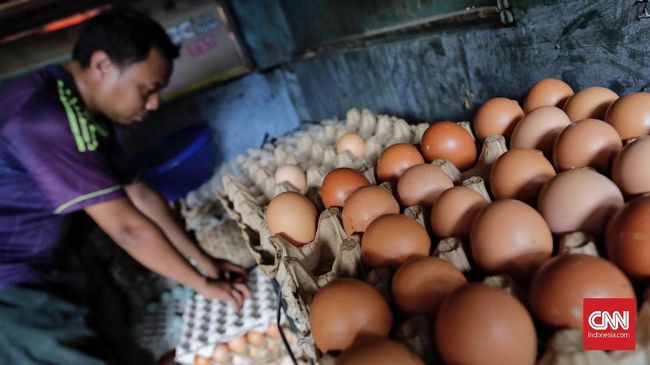 Pengecer Minta Distributor Turunkan Harga Telur Ayam