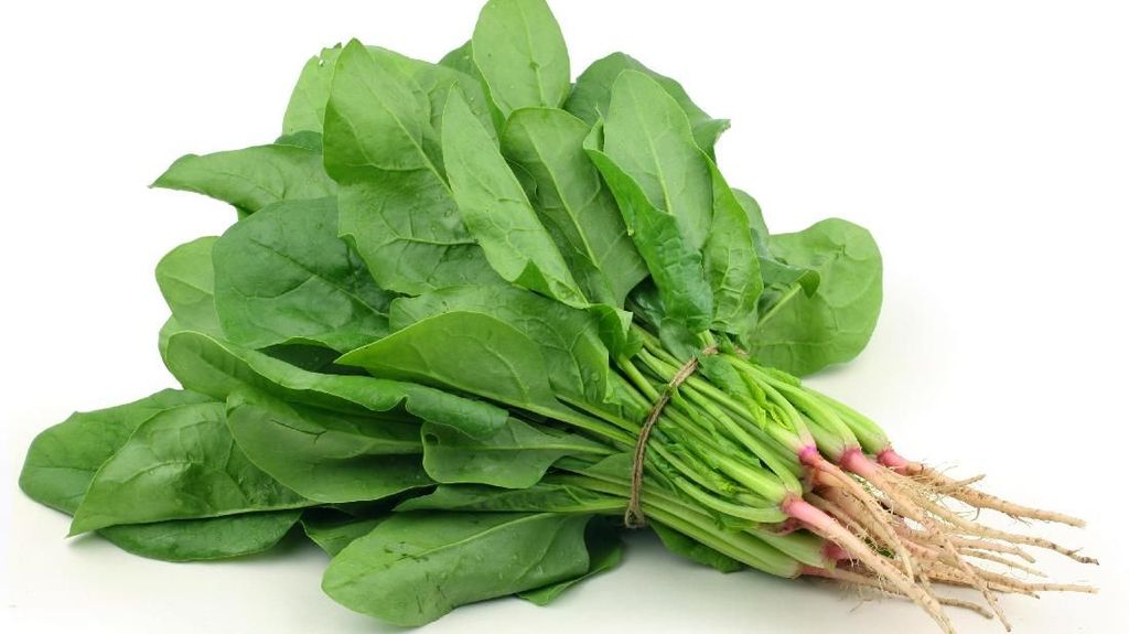 Waspada Makanan Sehari-hari Pemicu Batu Ginjal pada Anak