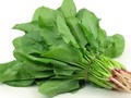 Kenali 5 Gejala Kekurangan Vitamin E pada Tubuh