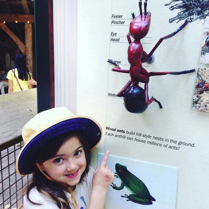 <p>Throwback saat Abby berusia enam tahun. Imut banget ya. (Foto: Instagram @abbyryderfortson)</p>