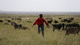 FOTO: Hidup Mengembara di Belantara Turki