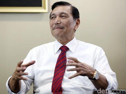 Luhut Ngaku Takjub dengan Perkembangan Food Estate di Sumut