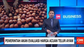 Pemerintah Akan Evaluasi Harga Acuan Telur Ayam