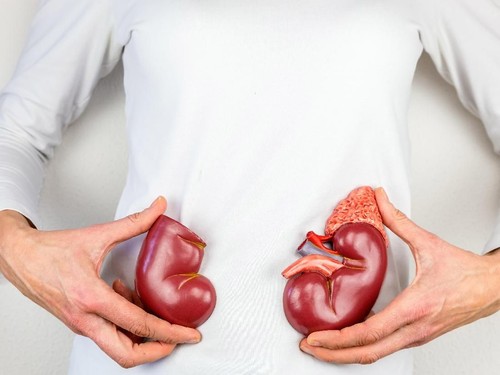 Biar Ginjal Tetap Sehat, Apa Saja Makanan yang Harus Dihindari?