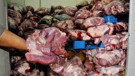 Alat untuk Deteksi Daging Sapi Mengandung Babi Dijual Online