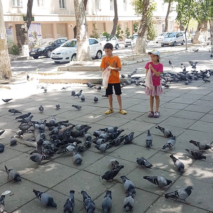<p>Saat jalan-jalan ke luar negeri, ada banyak kegiatan untuk anak yang menyenangkan. Misalnya saja memberi makan burung. (Foto: Instagram @ilmiraz)</p>