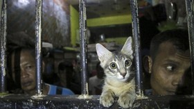 FOTO: Sidak Lapas Buntut OTT KPK
