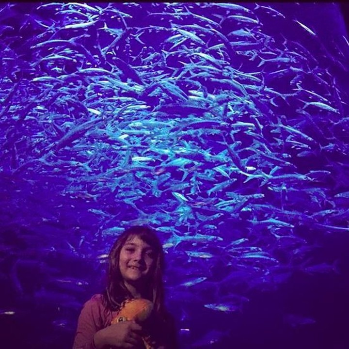 <p>Aelita sedang main di akuarium di Hong Kong (Foto: Instagram @aelitaandre)</p>