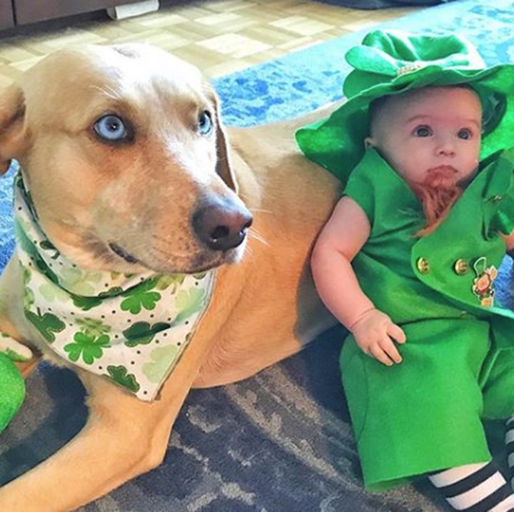 <p>Lucu nih, sama-sama berkostum hijau. (Foto: Instagram @reesespieces_thedog)</p>