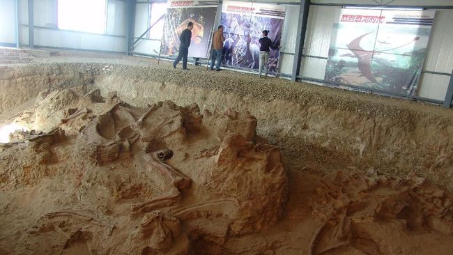 Sekitar 66 persen dataran di Afrika Selatan menyimpan fosil, satu dan lainnya bahkan saling berhubungan.