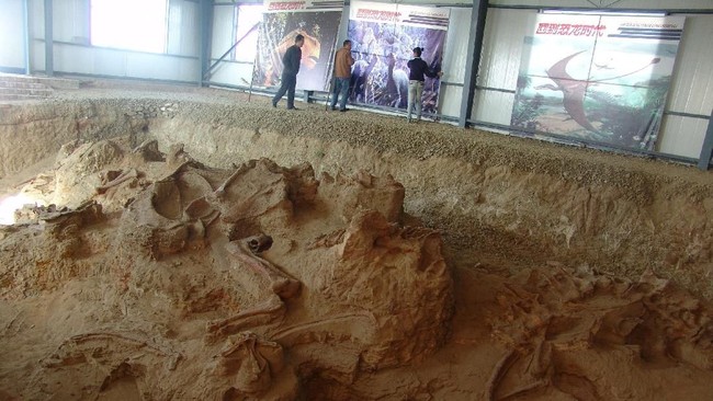 Sejumlah peneliti paleontologi dari Universitas Nasional Chinju Korea dan Universitas Denver Colorado AS menemukan jejak kulit kaki dinosaurus 'sempurna'.