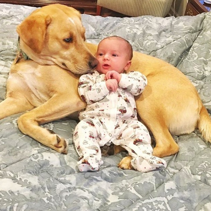 <p>Sudah seperti teman lama ya, Bun? (Foto: Instagram @reesespieces_thedog)</p>