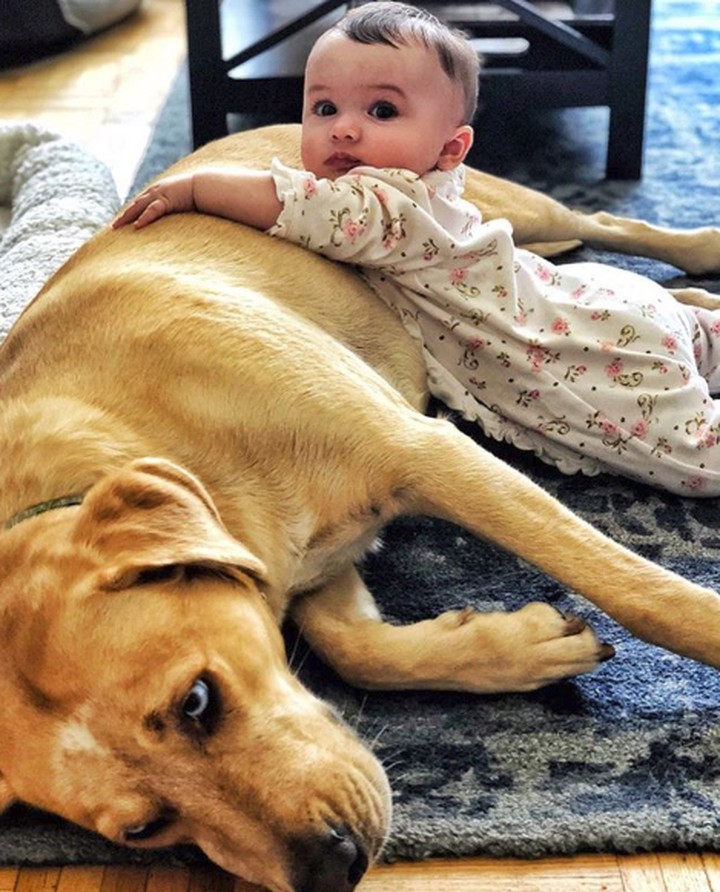 Potret Persahabatan Bayi Imut dengan Anjing Penjaganya