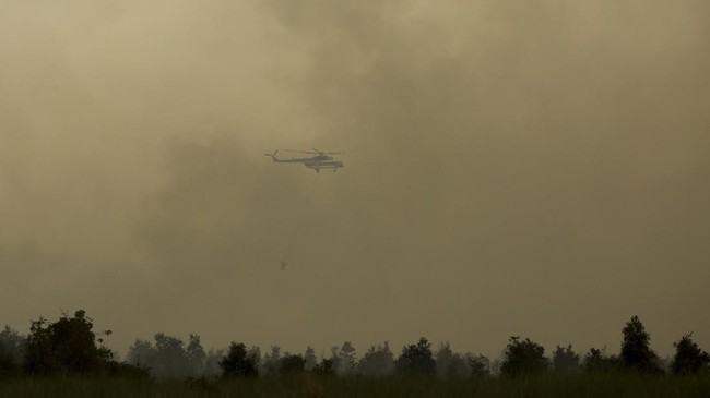 Memasuki hari ke-20 pencarian helikopter MI-17 milik Pusat Penerbangan TNI AD yang hilang di Papua sejak 28 Juni lalu belum membuahkan hasil.