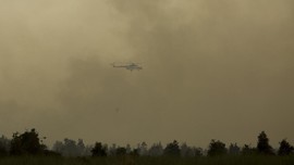 20 Hari Usai Jatuh di Papua, Heli TNI MI-17 Belum Ditemukan