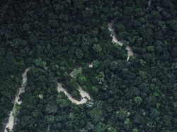 4 Bocah Dievakuasi dari Amazon Kolombia: Tertua 13 Tahun, Si Bungsu 1 Tahun