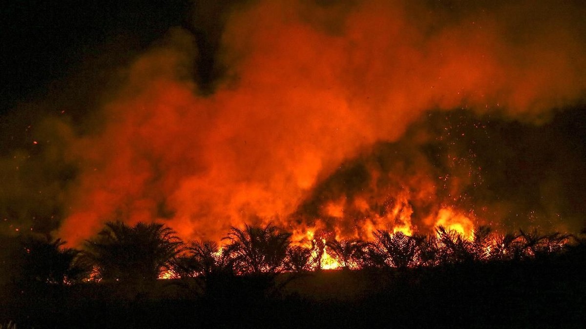 FOTO: Berjibaku Padamkan Kebakaran Lahan Gambut