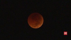VIDEO: Gerhana Bulan Total 'Ditemani' Mars dan Venus