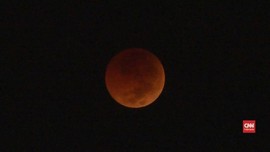 VIDEO: Gerhana Bulan Total 'Ditemani' Mars dan Venus