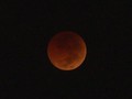 VIDEO: Gerhana Bulan Total 'Ditemani' Mars dan Venus
