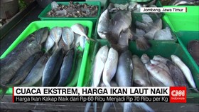 Dampak Cuaca Ekstrem Harga Ikan Laut Naik