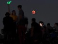 Gerhana Bulan Stroberi Hiasi Langit Akhir Pekan