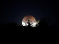 Bulan Buatan di China Bakal Gantikan Cahaya Lampu Jalan