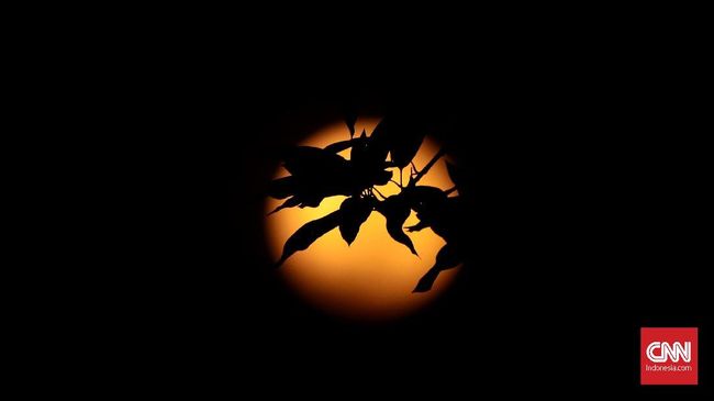 Sebuah cerita rakyat Bali mengisahkan, gerhana bulan merupakan peristiwa ketika raksasa jahat Kala Rau memakan Dewi Bulan.