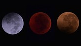 FOTO: Terpukau Pesona Gerhana Bulan Total Gerhana bulan total 'Micro Blood Moon' pada Sabtu dini hari berlangsung 1 jam 43 menit, merupakan yang terlama pada abad ini.