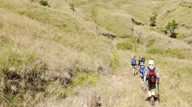Video 'kemah sambil dugem' yang viral di media sosial mengakibatkan satu destinasi wisata di TN Gunung Rinjani terpaksa ditutup lagi.