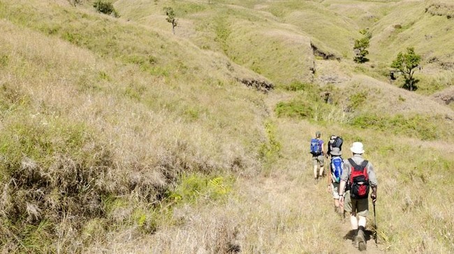 Sejumlah pendaki yang baru turun dari Gunung Rinjani memberi kesaksian detik-detik terjadinya longsor dan hujan batu saat gempa mengguncang Lombok, NTB.
