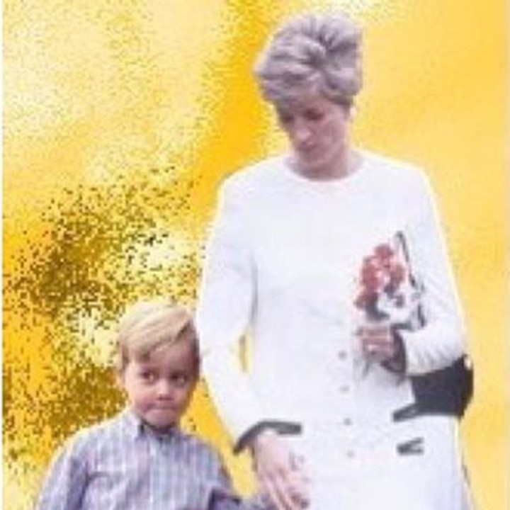 <p>Netizen juga berkreasi sehingga seolah-olah dalam foto ini, Pangeran George seperti sedang digandeng Nenek Diana. Melihat foto ini, saya jadi teringat almarhumah nenek saya. Hiks. (Foto: Instagram @dianaprincesadegales)</p>
