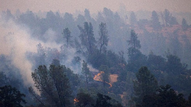 Setidaknya enam orang tewas akibat kebakaran yang melalap kawasan utara California, Amerika Serikat, sejak pekan lalu.