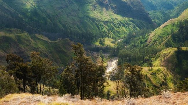 Ada empat jalur pendakian resmi yang ditetapkan oleh pengelola Gunung Rinjani. Jalur Torean bukan salah satunya.