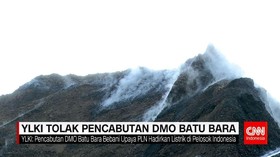 YLKI Tolak Pencabutan DMO Batu Bara