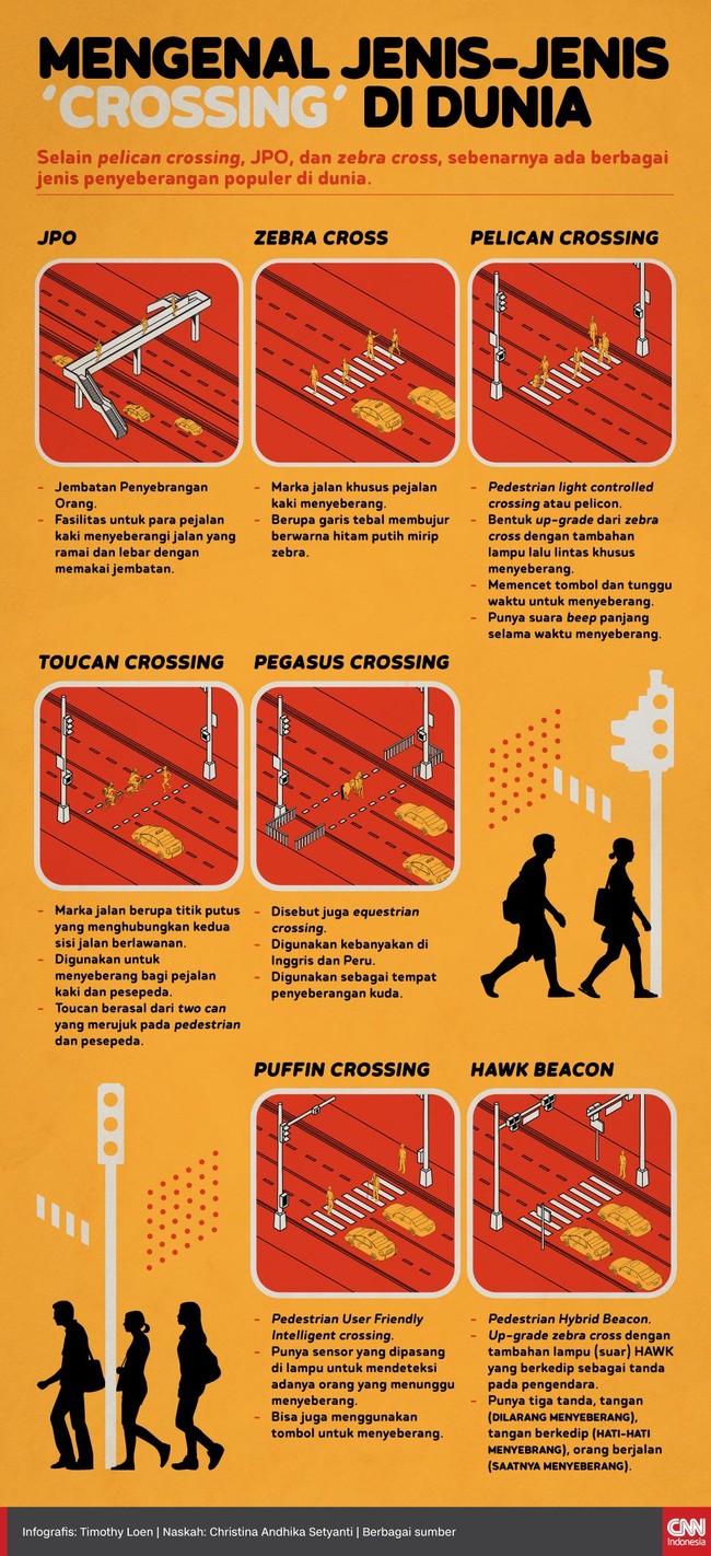 Selain pelican crossing ada berbagai jenis penyeberangan yang ada di dunia. Uniknya semua bernama binatang.
