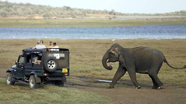 Berikut ini rekomendasi destinasi wisata di penjuru Sri Lanka.