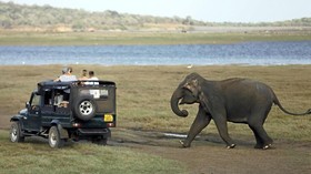 9 Alasan Berkunjung ke Sri Lanka